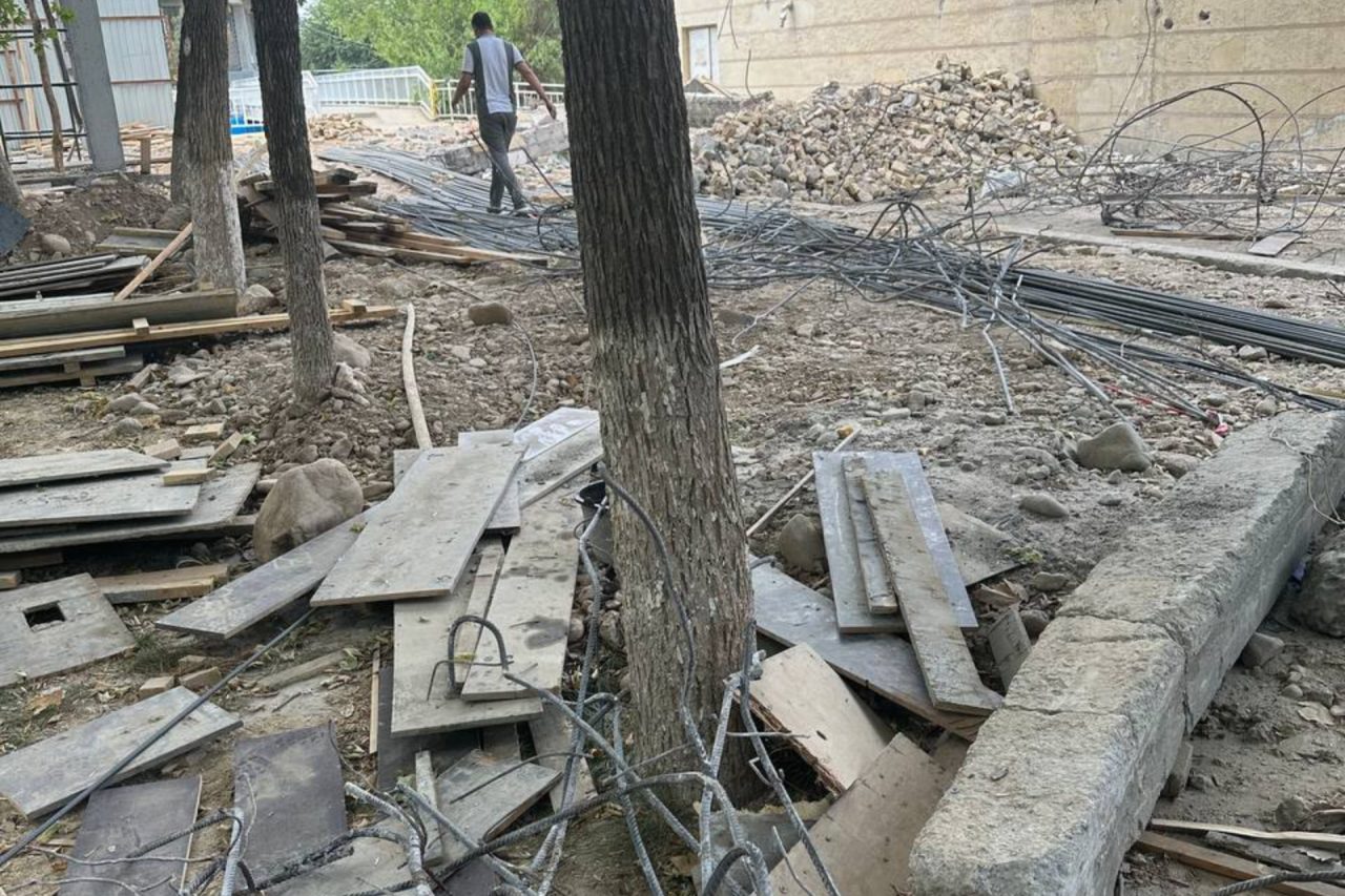 Toshkentda bolalar salomatligi va daraxtlar xavf ostida