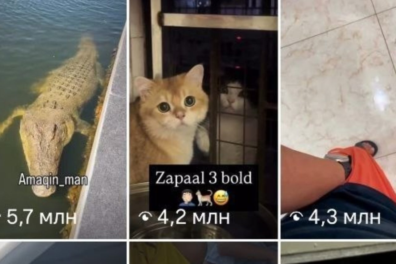 Ko‘rishlar va layklar uchun endi tirik jonivorlar qurbon qilinadimi?