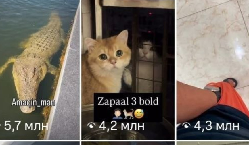 Неужели ради просмотров и лайков теперь можно мучить живых существ?