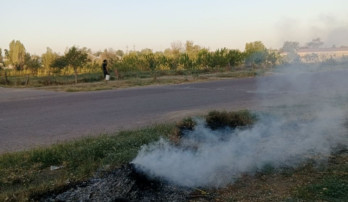 Ohangaron tumani Evalyak qishlog‘idagi chiqindilarni yoqish holati yuzasidan murojaat
