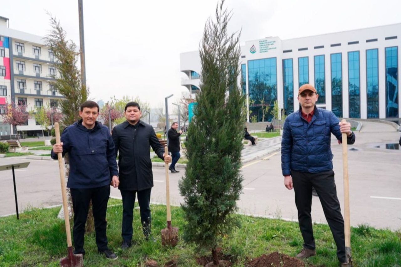 Toshkentda «Bir million daraxt» aksiyasi o‘tkazildi