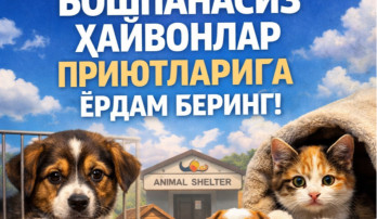Начните Новый год с доброго дела — помогите бездомным животным!