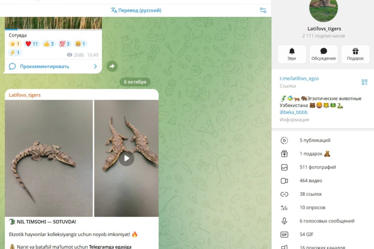 Tarmoqdagi “qora bozor”: Yovvoyi hayvonlar savdosi qachon to‘xtatiladi?
