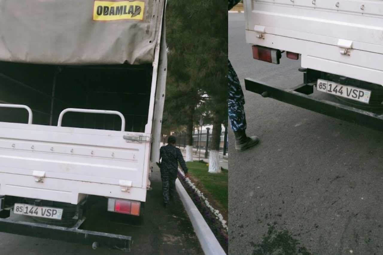 Navoiy şahrida itga nisbatan şafqatsiz munosabatda bölingani aytilmoqda