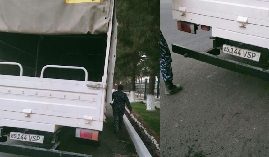 Navoiy şahrida itga nisbatan şafqatsiz munosabatda bölingani aytilmoqda