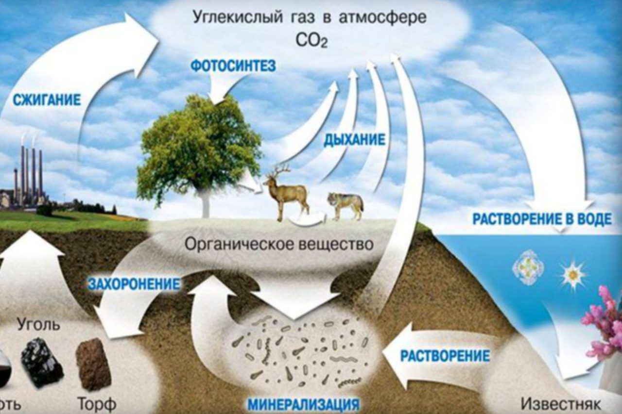 Климат на грани невозврата: Земля теряет способность к самовосстановлению